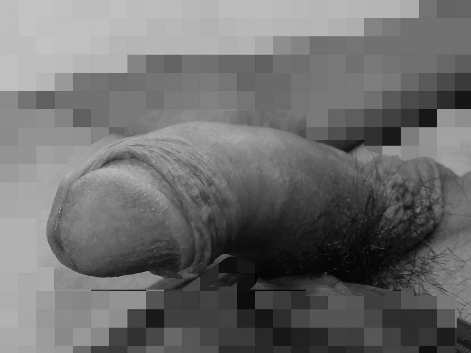 P_20190203_113610_vHDR_On_Mosaic_1_15_5_1.jpg