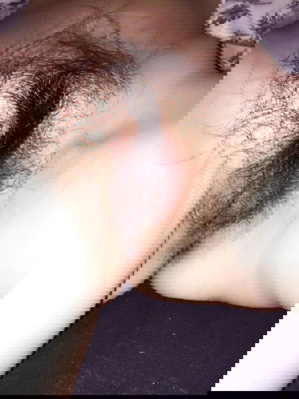 15292540.jpg