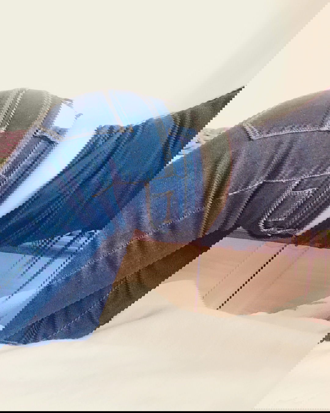 47691129_411037476301236_3106417345206702660_n.jpg