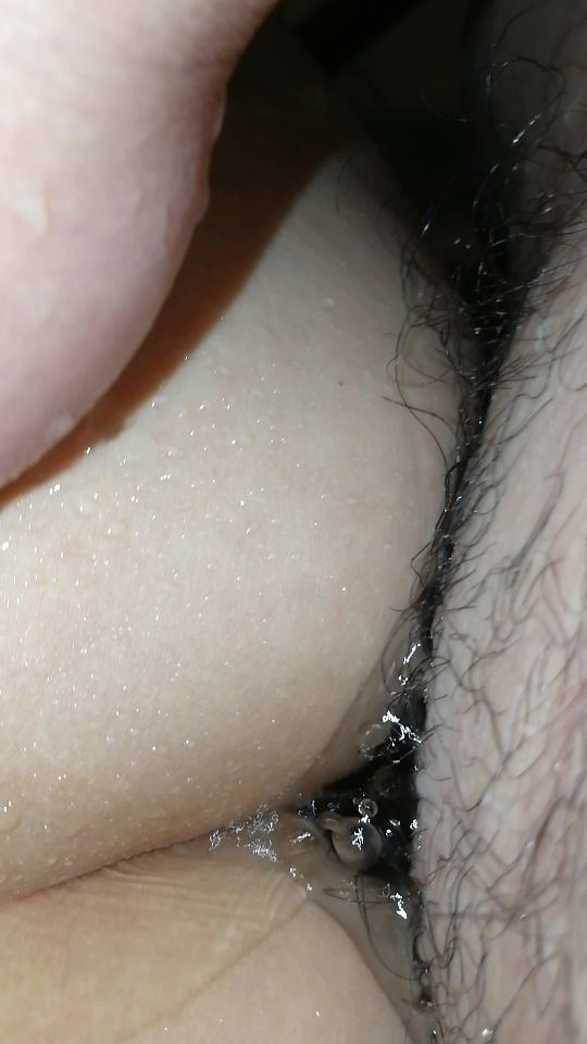 10204968.jpg