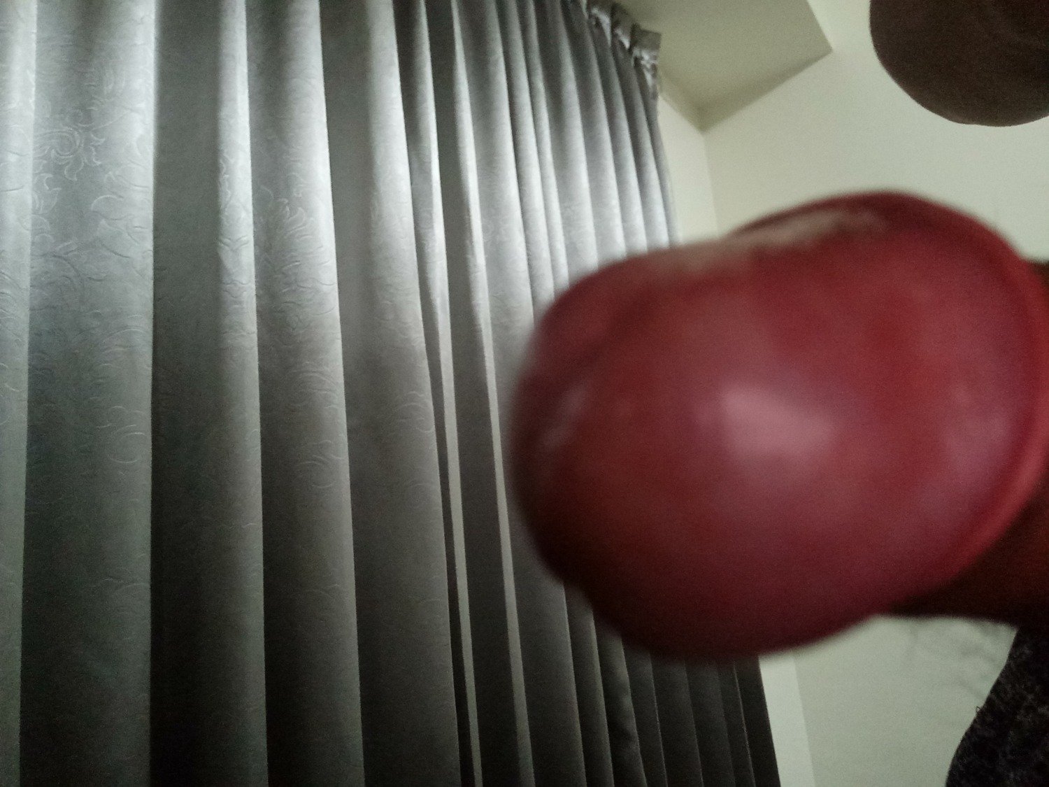 IMG20190408225530.jpg