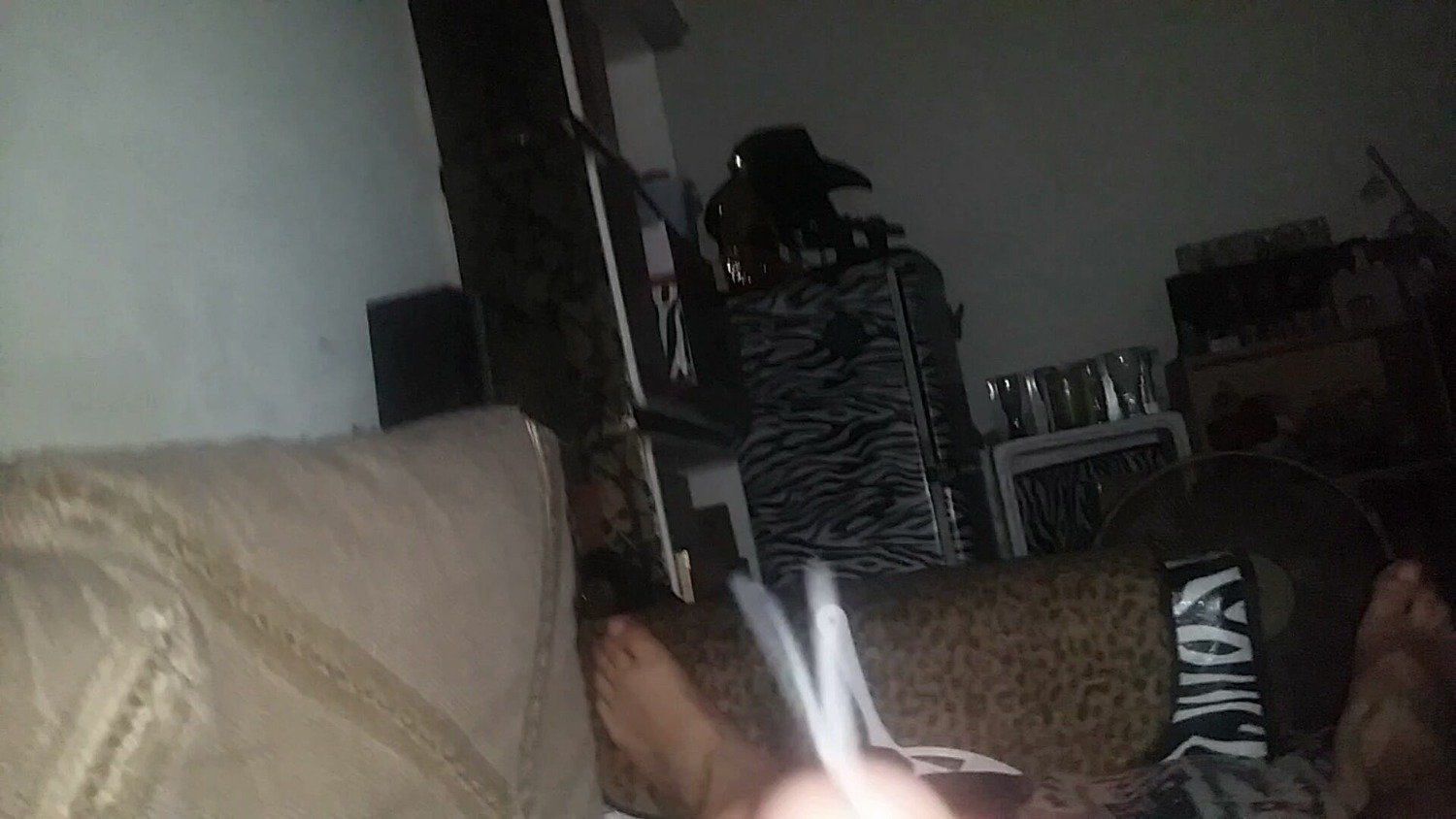 20170415_052030_108788.jpg