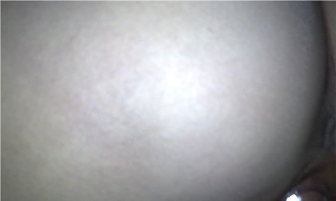 09414827.jpg