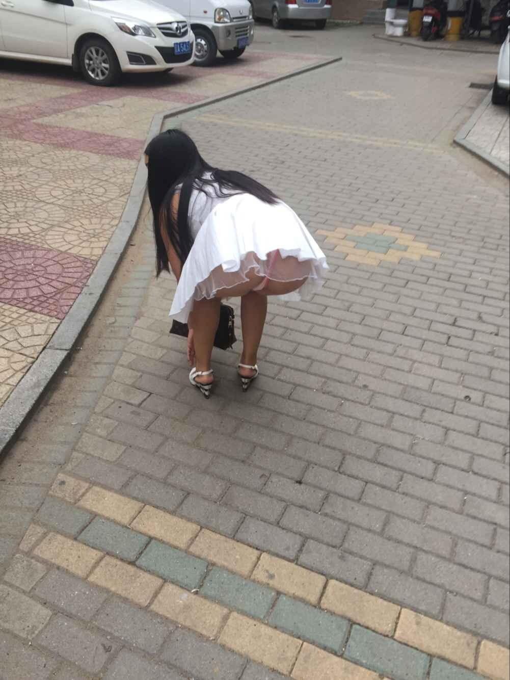 16454915.jpg