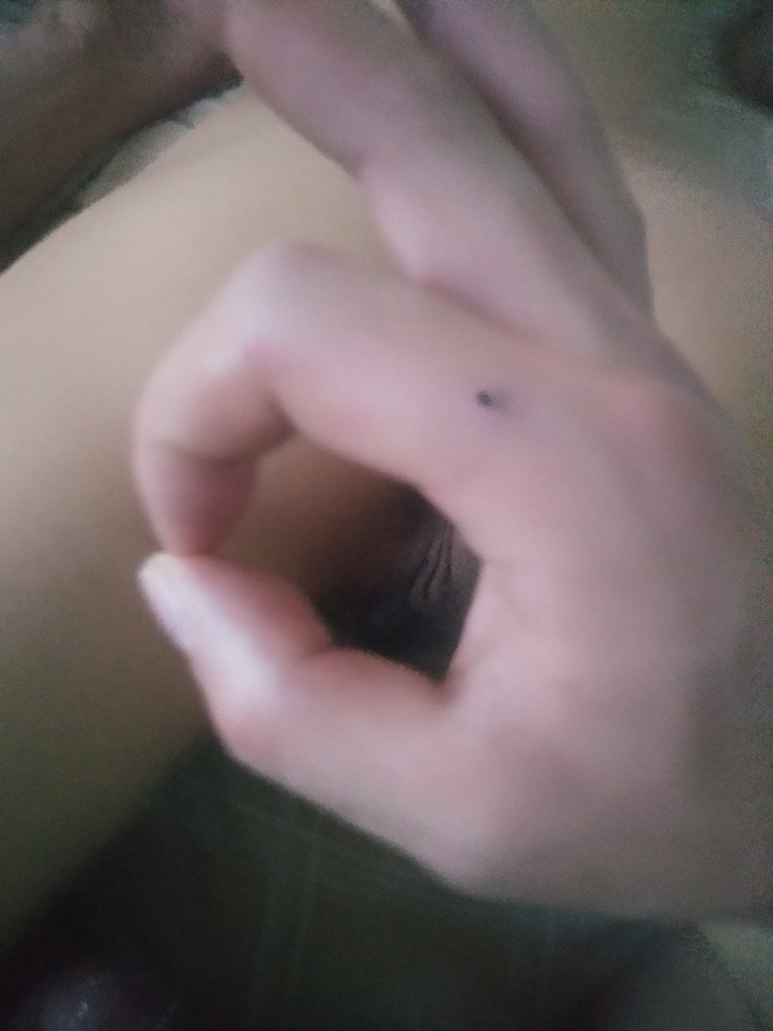 16050551.jpg