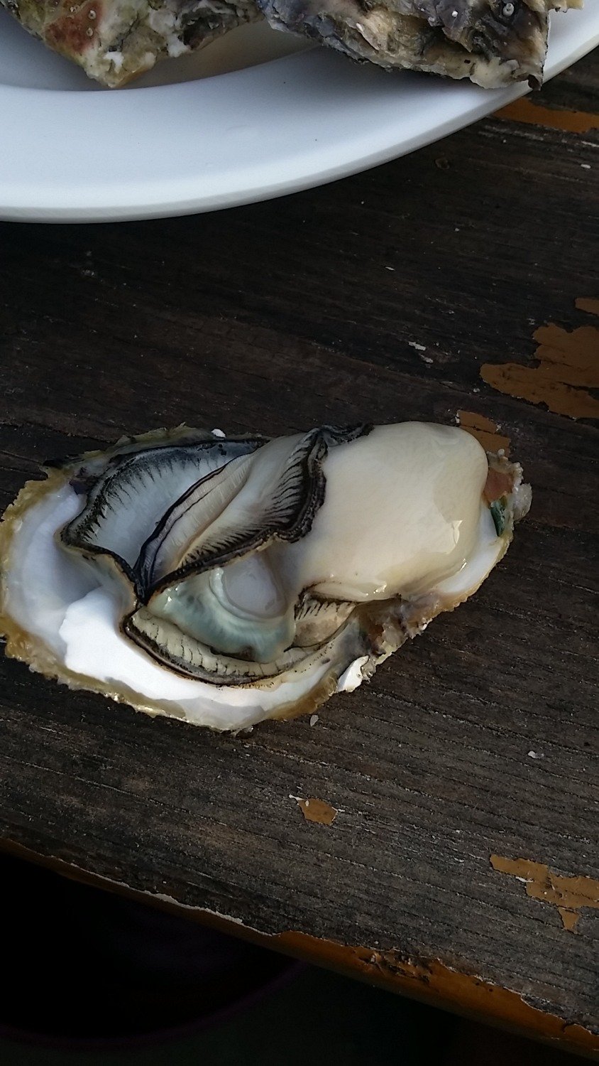 20190713_180041.jpg