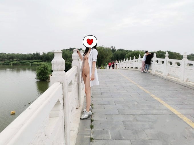 07362777.jpg