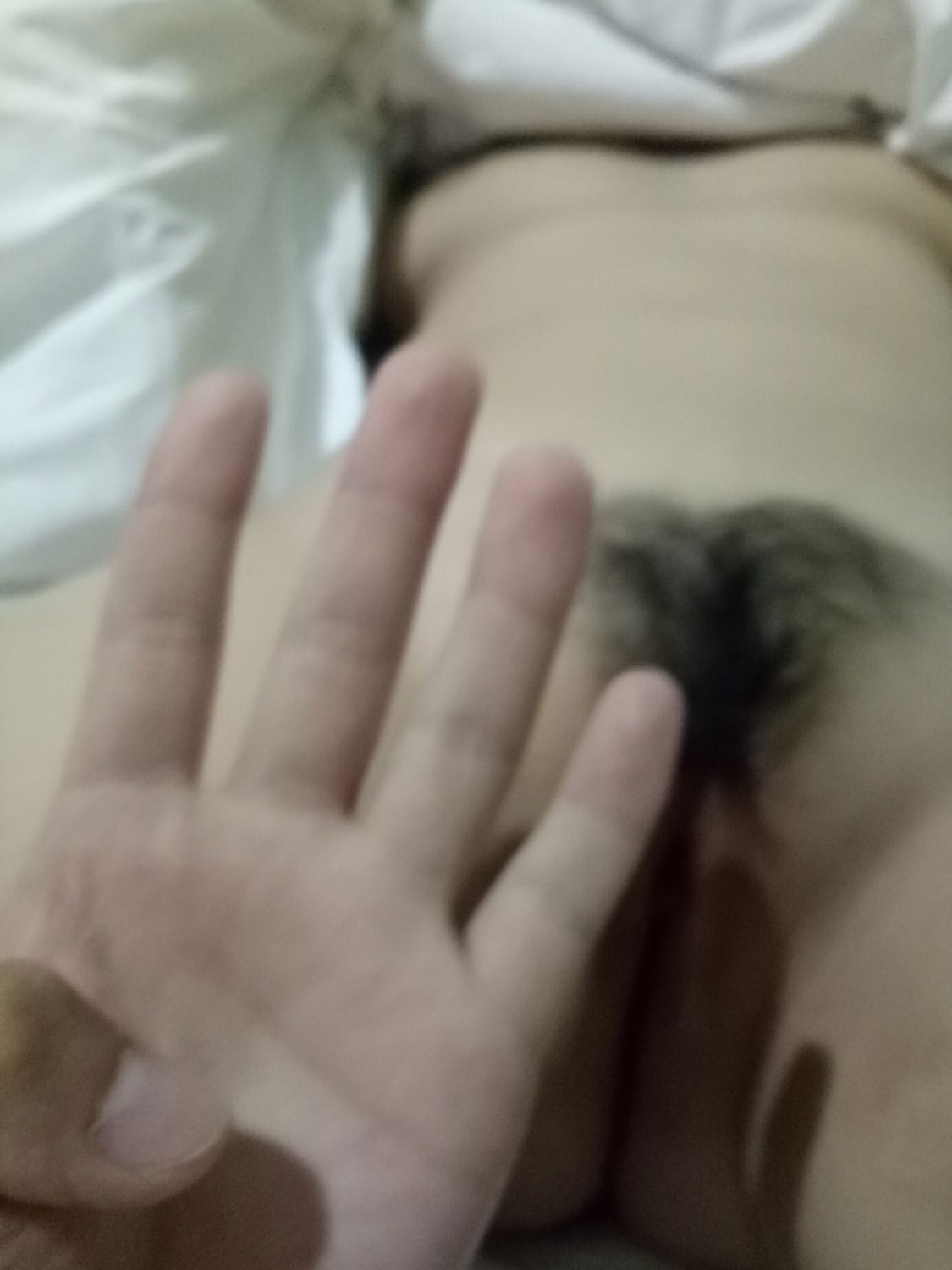17412555.jpg