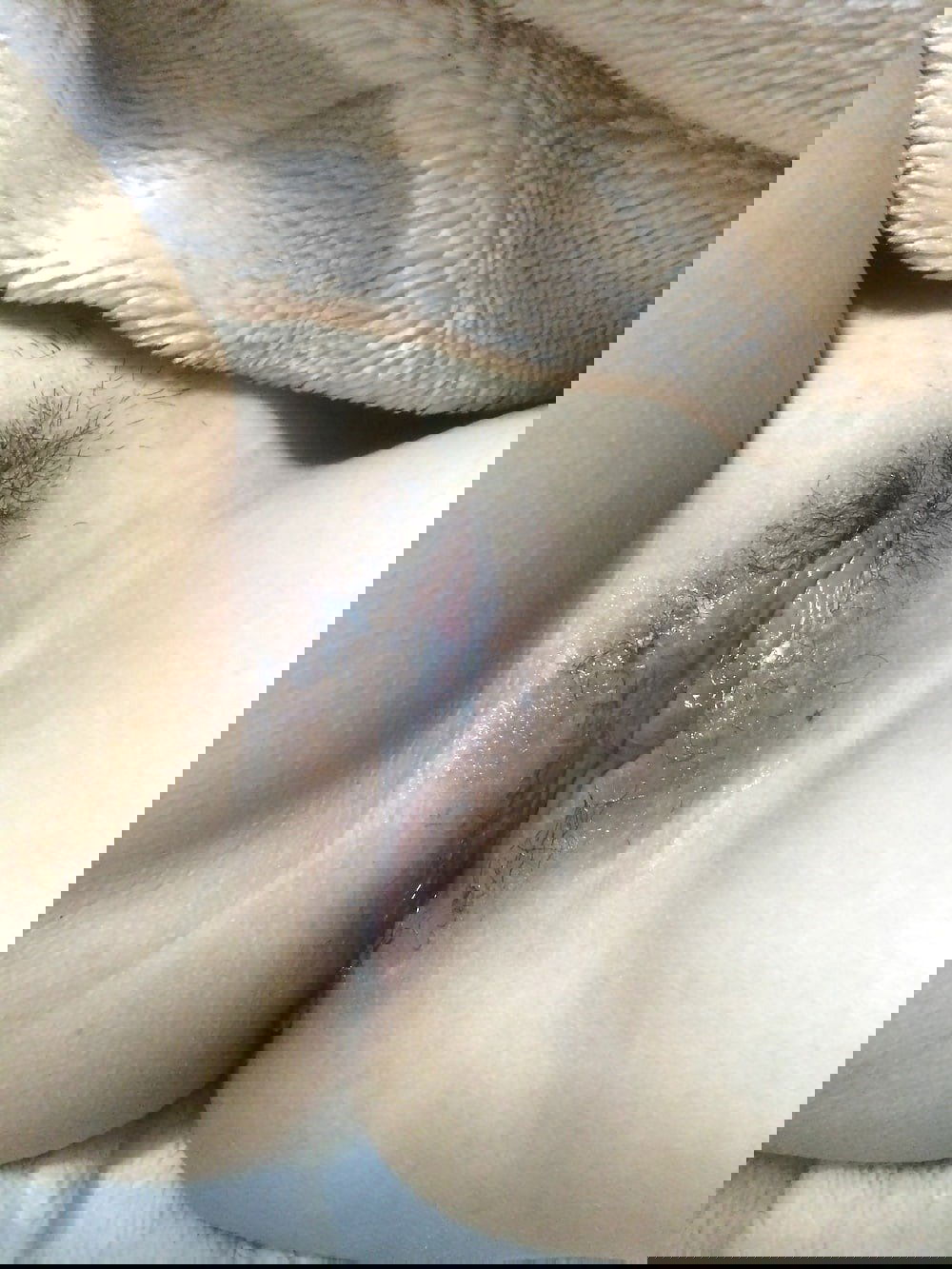 17270930.jpg