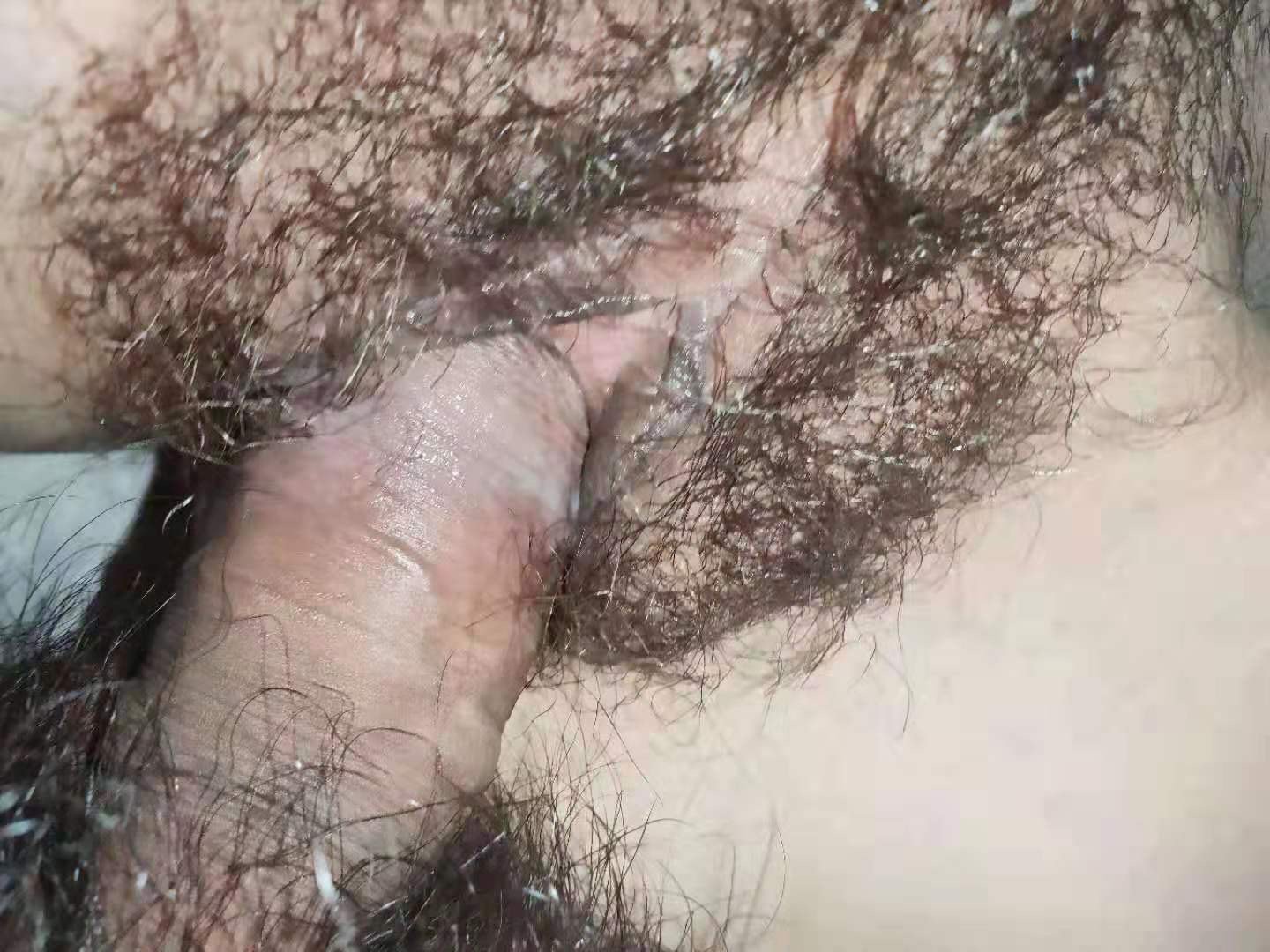 67063400-5730-4CC4-901E-D09F76423FC8.jpeg