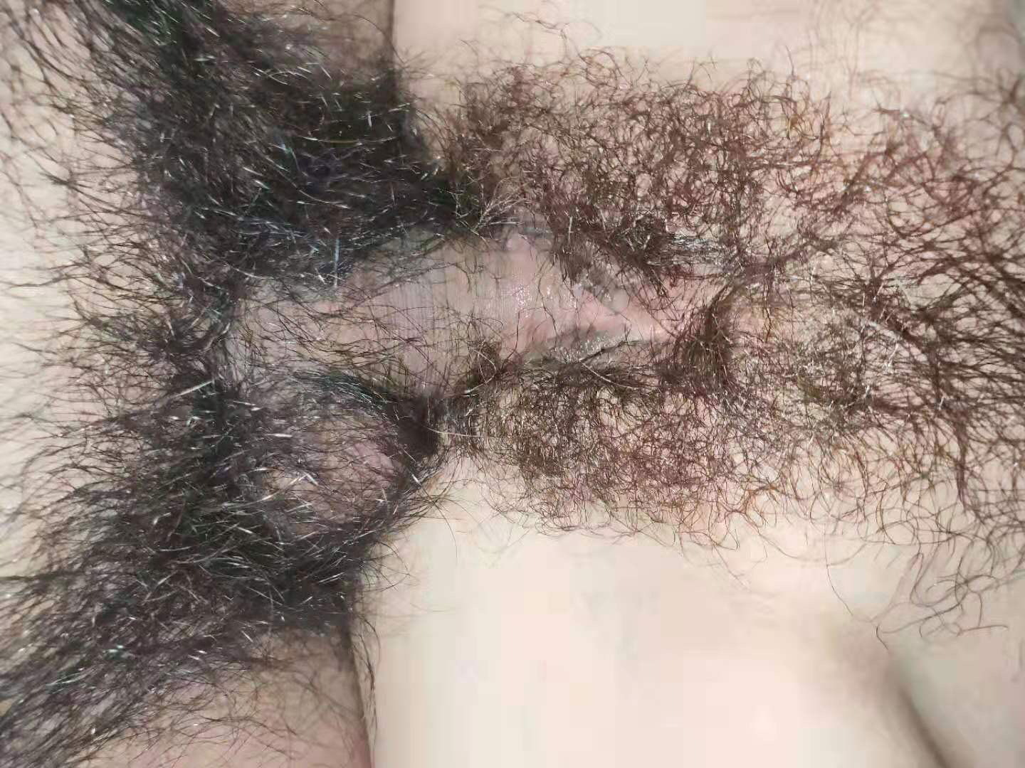 67063400-5730-4CC4-901E-D09F76423FC8.jpeg