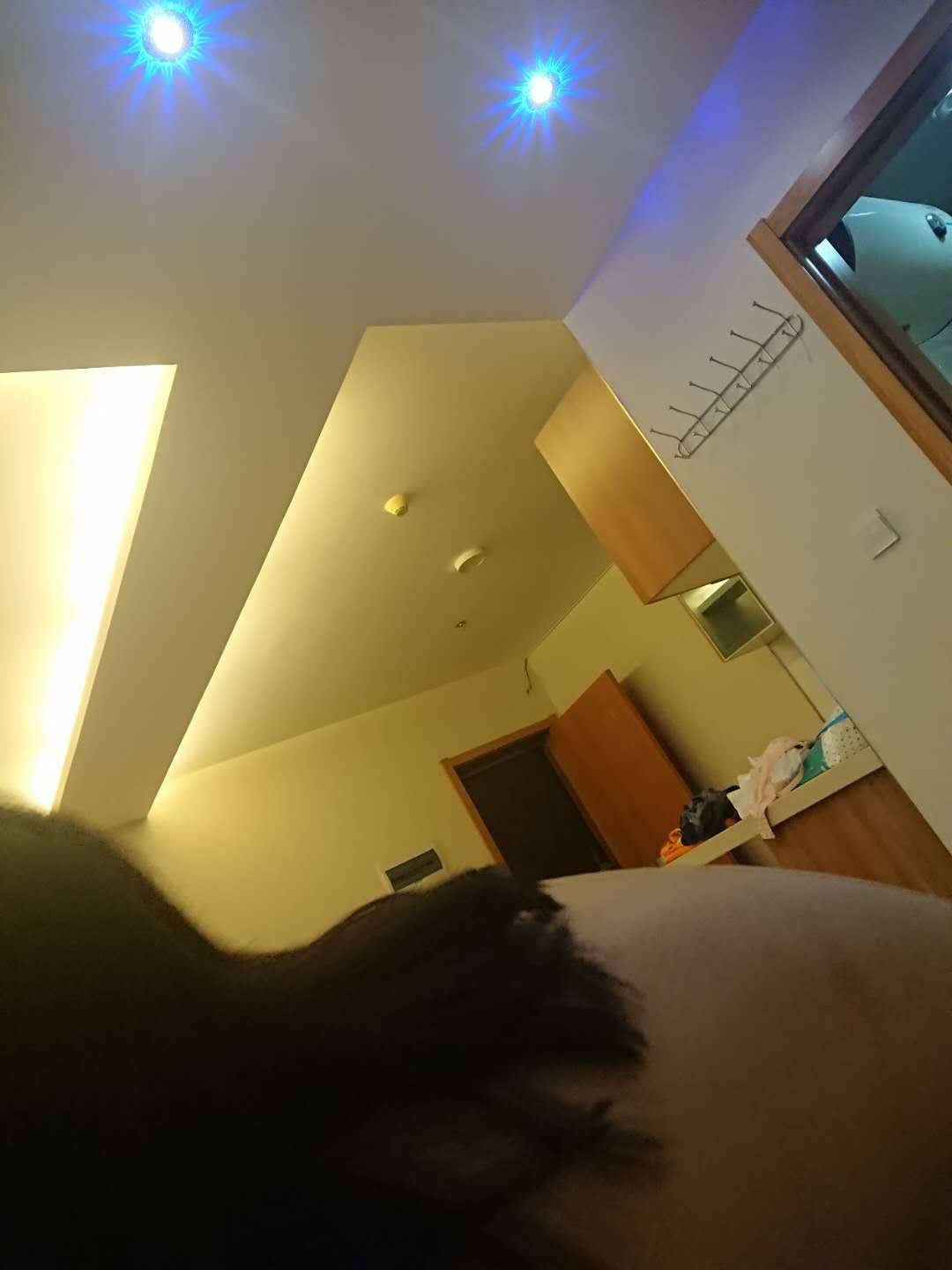 00443343.jpg