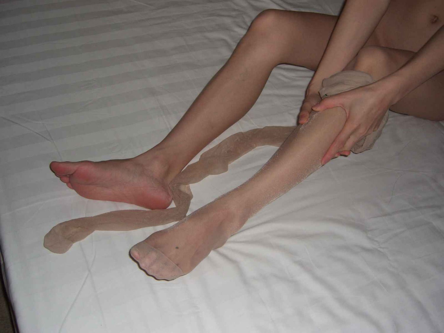 13205236.jpg
