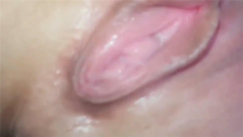 10251932.jpg
