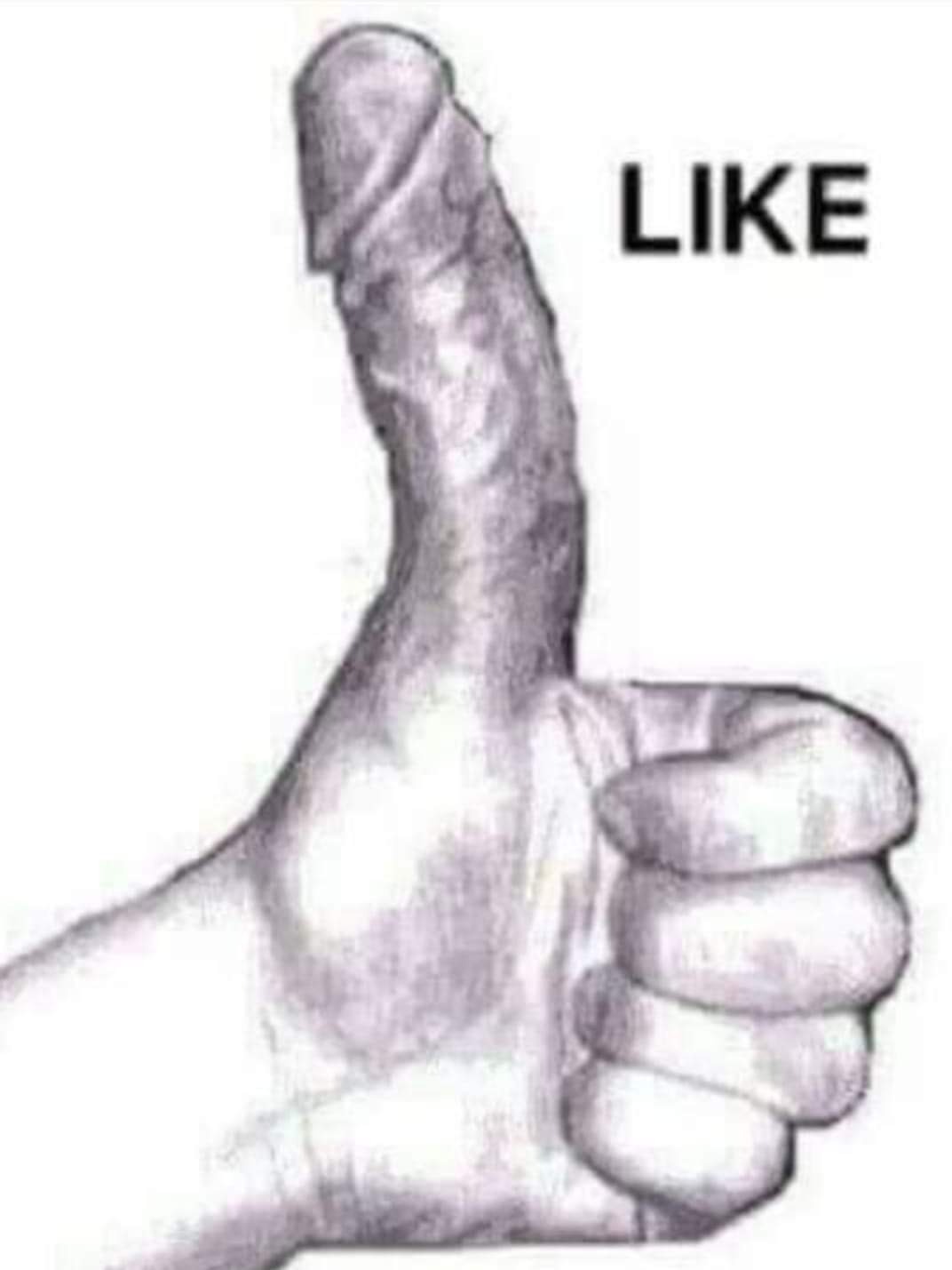 FB_IMG_1585051847712.jpg