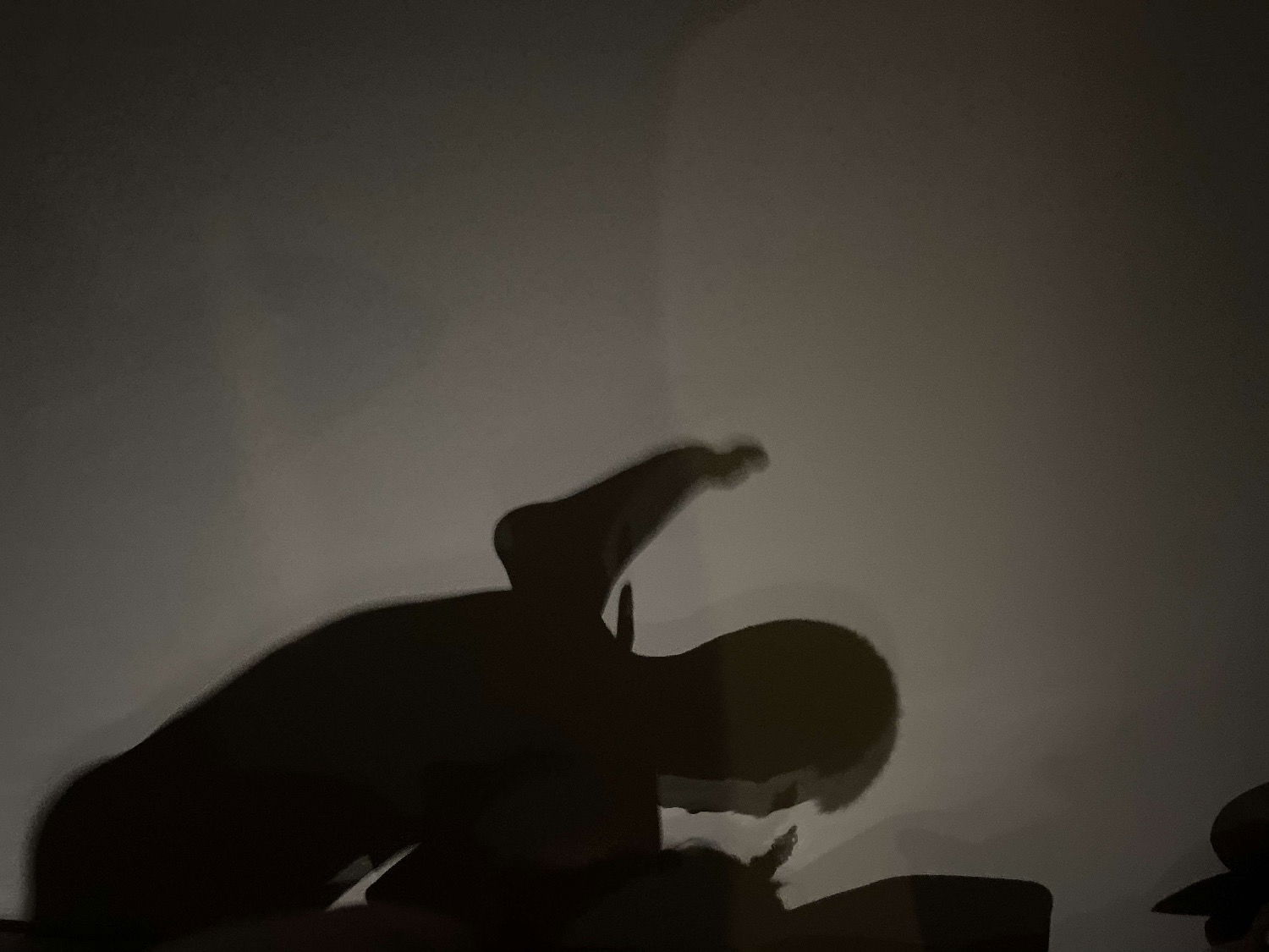 9C4F2B5C-3AB3-4B09-9FE7-6D8AD3900170.jpeg