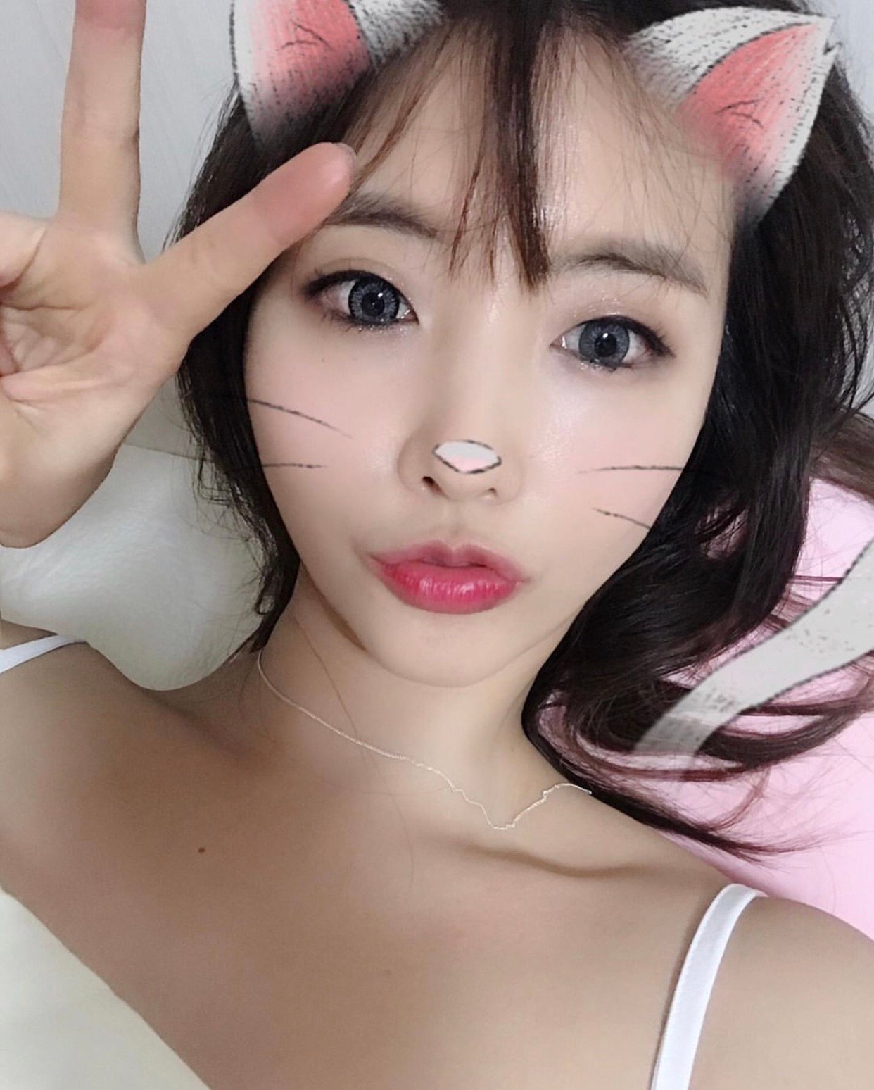 S__8200207.jpg