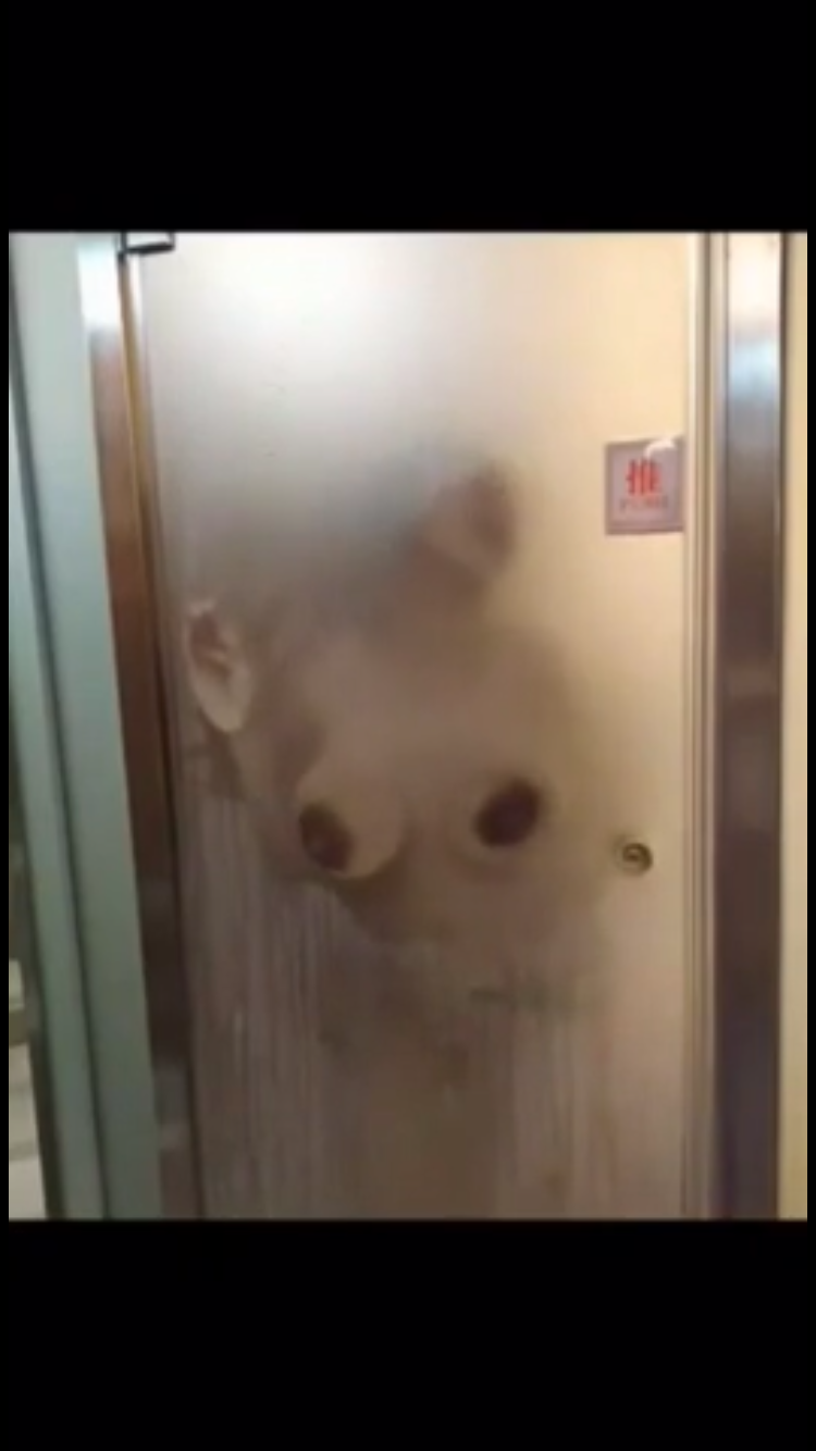 73550802-C0B5-4ED7-8E19-2E6B53596714.png