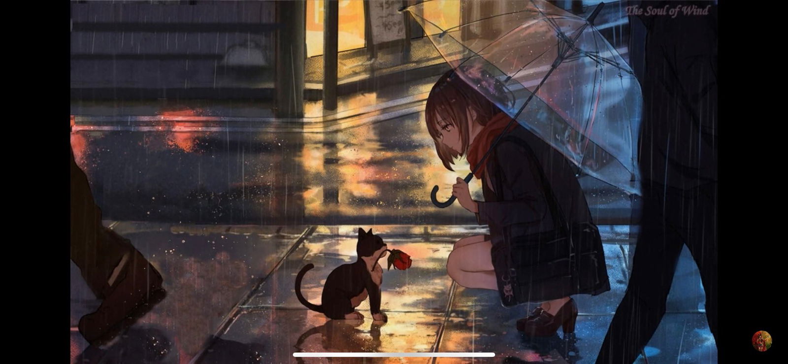 S__27164680.jpg