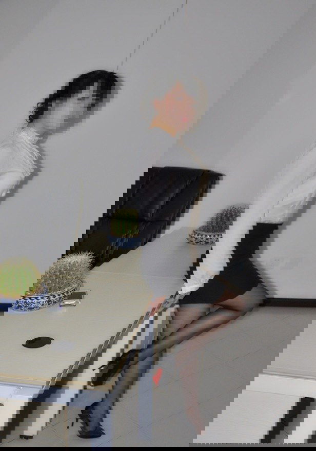 lm65l1.jpg