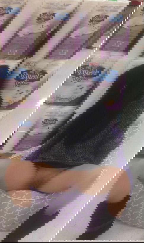 2310366.jpg