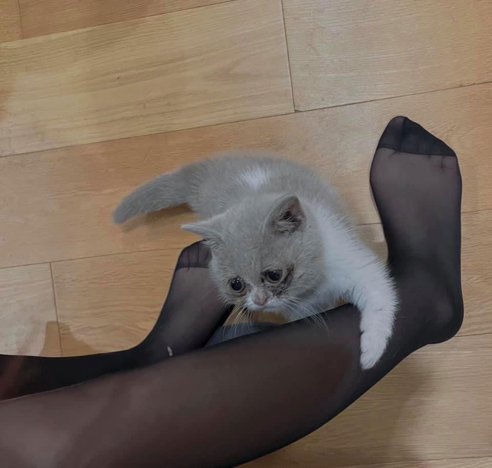 C85F3FAB-80EE-435E-85BF-D6D28A4B265D.jpeg