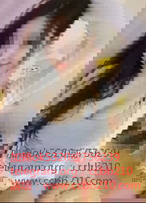 皮皮.jpg