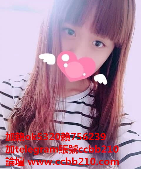 貓貓1.jpg
