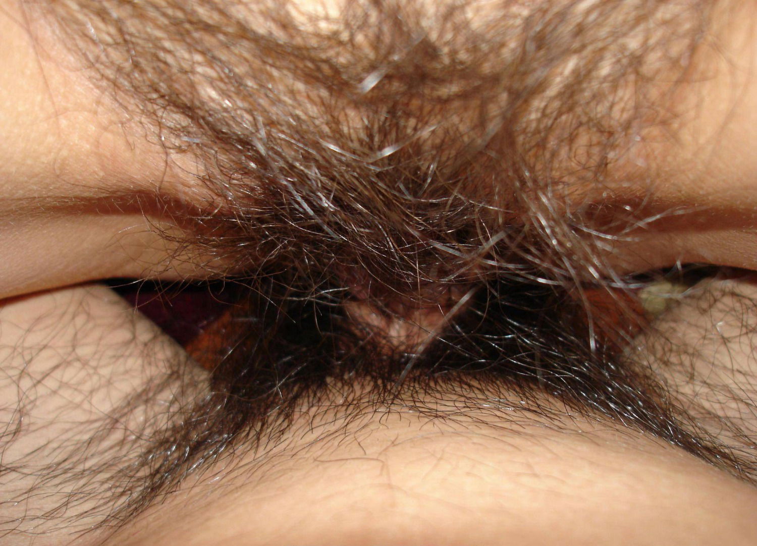 a9Sx0V.jpg