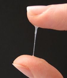 月經來時會多了一種子宮頸分泌液來幫助精子游入子宮頸