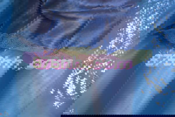 image-small-486.jpg