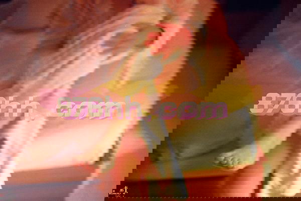 image-small-605.jpg
