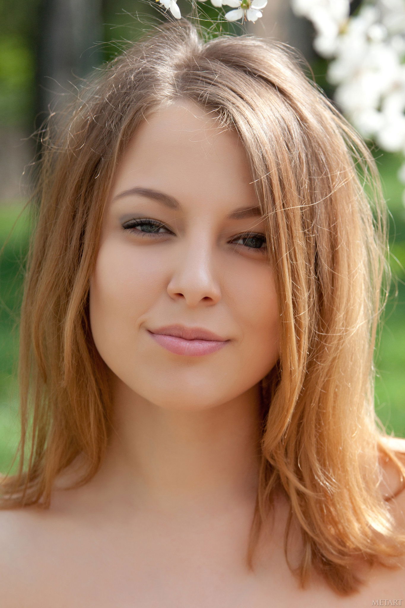 ia_100003321.jpg