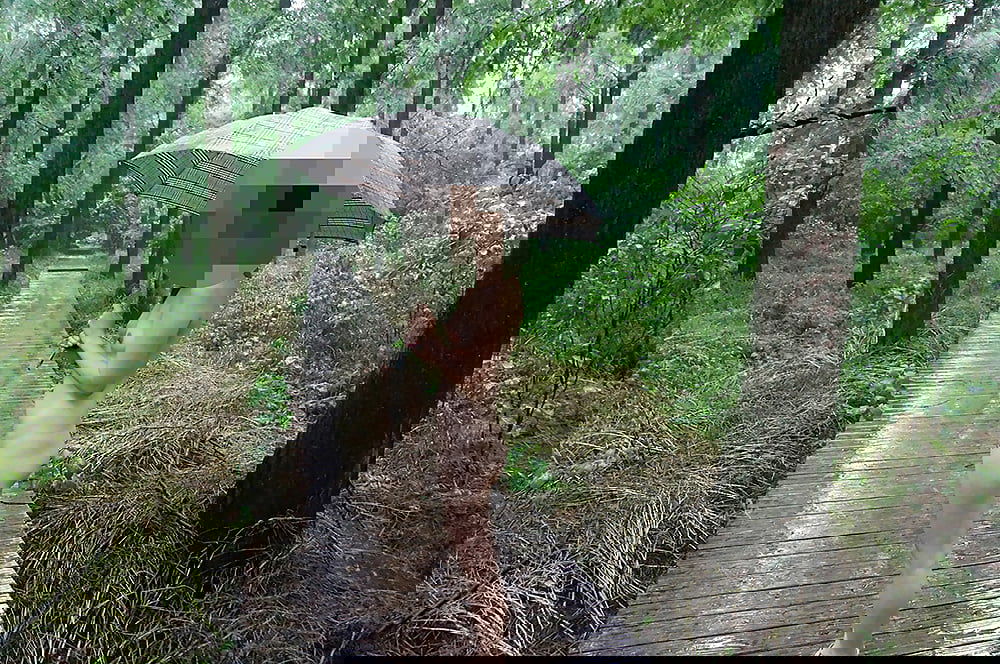 101404dbb0vsb100imbebm.jpg