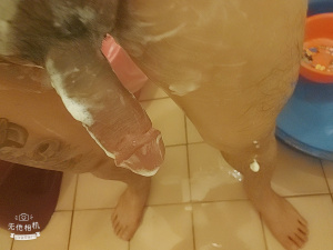 photo-ffadult-r40-s2-473326003_44057.1295734901.0.main (1).gif
