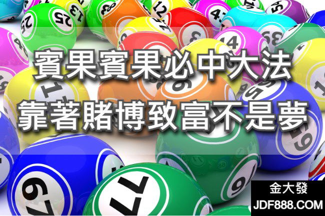 賓果賓果.jpg