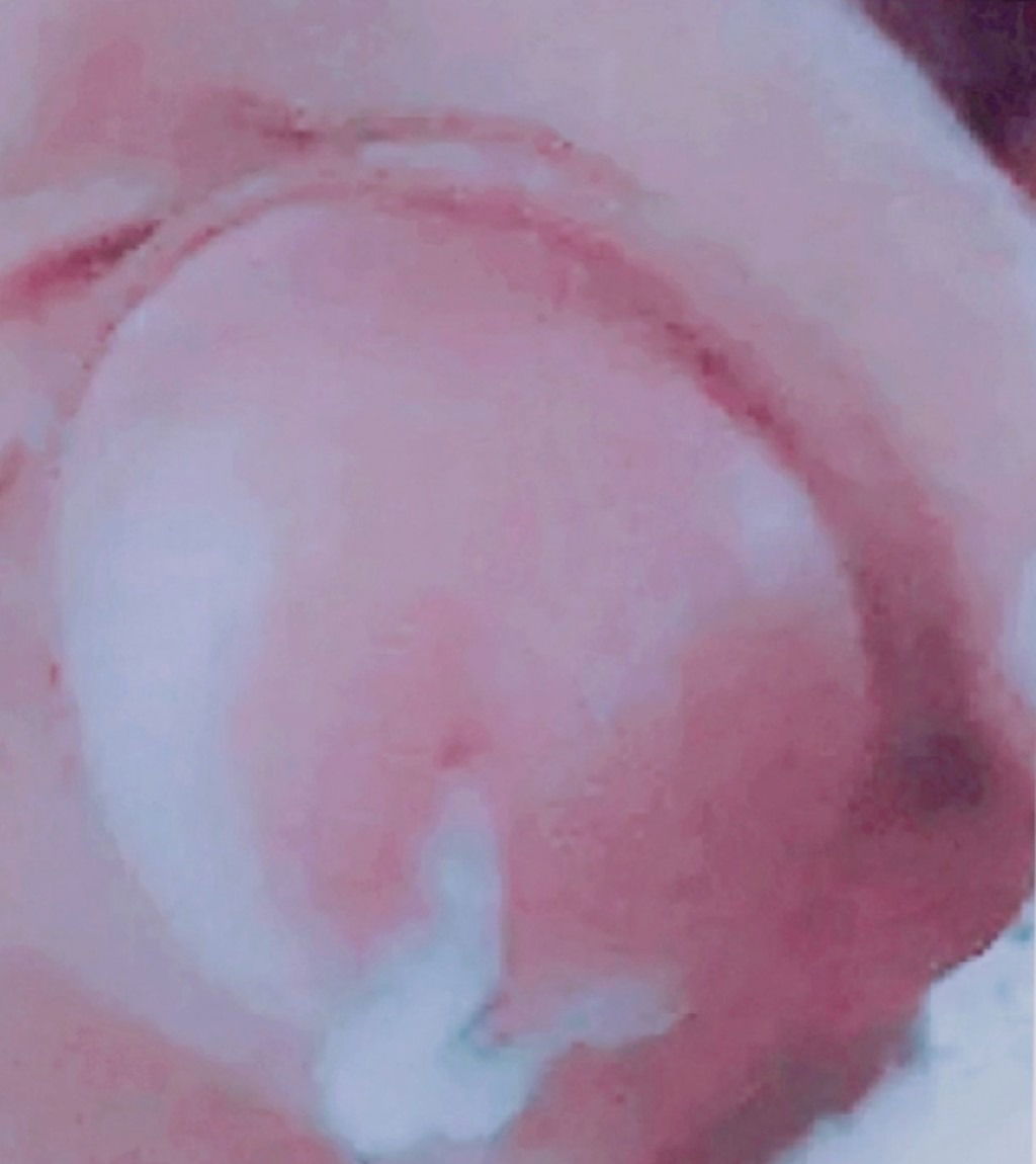 1658913072305.jpg