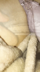 14210183-48A7-413A-AFD6-C2A64813C818.gif
