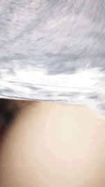 665BF0D3-51FA-4B38-840C-894159B3E56F.gif