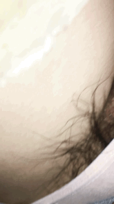 7EE86E4D-D463-4F05-AF2F-0D360197F2E5.gif