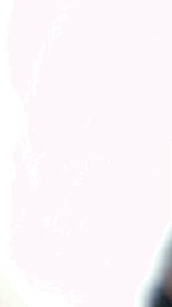 69F7A9A7-9B56-4374-8300-2B1801EAFC07.gif