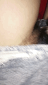 A8308C8B-B1D1-46CC-9E0D-B7ABCAC9496A.gif
