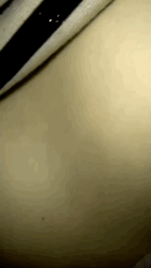 7DEB4DB6-F179-413A-BAFA-6AA9539D90DF.gif