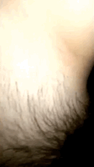 02FF01A7-7A53-438D-8F3A-C6D6F4DDE4E9.gif