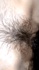 465A2F2F-7C98-4D2B-A3CF-74523120A3B7.gif