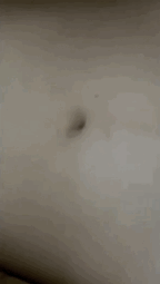 6702429F-9F7F-4AAF-A5EF-B0D41AB457FE.gif
