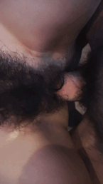 F2E584FD-E7C8-4C2F-ADB7-8C0FE8FE6112.gif