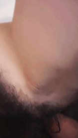 8736D1AE-0FEE-4143-AB06-910BDA6588CE.gif