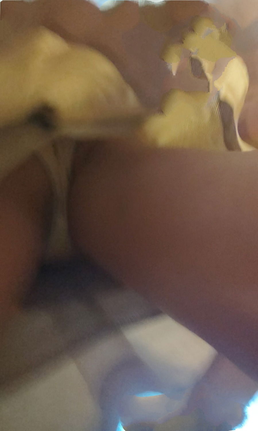 IMG_20230208_191218.jpg