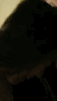 EAC21FF7-DD35-4949-B280-CF36128E2031.gif